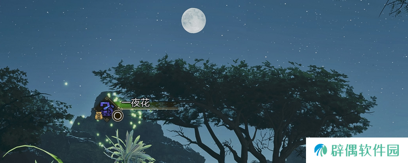 《怪物猎人：荒野》简单采集方法介绍