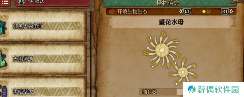 《怪物猎人：荒野》望花水母及大望花水母收集方法介绍