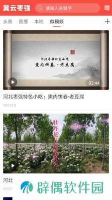 冀云枣强最新版app下载安装-冀云枣强本地新闻资讯最新版下载v1.0.0